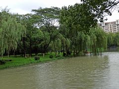 -中央公园(苏州工业园区)