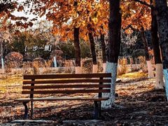 -长春市南湖公园