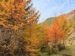 -苏木山森林公园