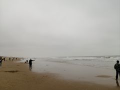 -东海岛旅游度假区