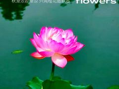 -翠湖宾馆·中餐厅