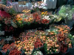 -循礼门鲜花花市(武汉循礼门店)