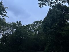 -紫金山山顶公园