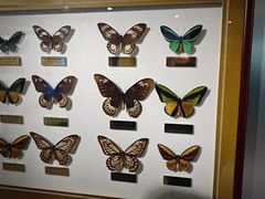 -上海昆虫博物馆