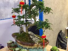 -云城照相馆(龙湖雨山天街店)