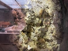 -湖南省地质博物馆