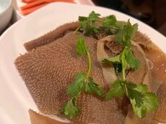 -季季红火锅(动壹店)
