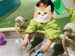 -爱睿思儿童早教亲子游泳(万象城店)