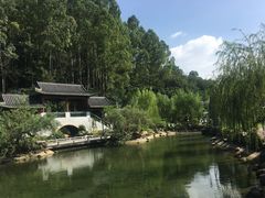 -广州神农草堂中医药博物馆