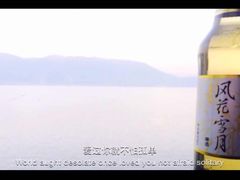 -南诏风情岛