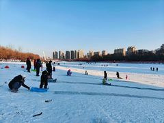 -丁香湖公园