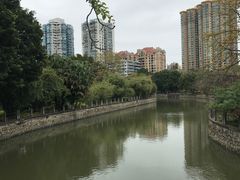 -晓港公园