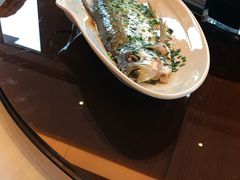 -富力威斯汀酒店-中国元素中餐厅(武昌临江店)