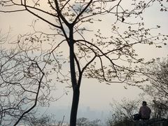 -紫金山山顶公园