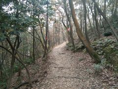 -宝界山林公园