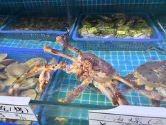-震海贝烤贝·民俗特色店(延吉总店)