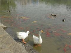 -中国农业博物馆