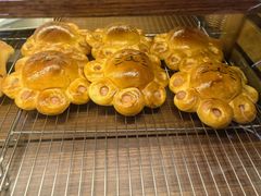-乡田小墅(展览馆路JK FUN商城店)