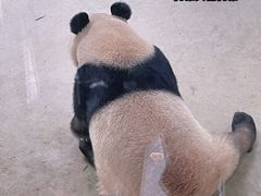 -杭州动物园
