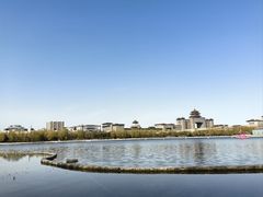-莲花池公园