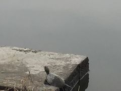-美兰湖景区