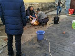 -璞真扎染博物馆