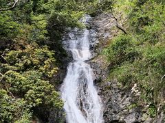 -东天目山风景区