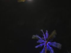 -Naughty Nuri’s Phuket