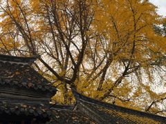 -天朝元辅-徐州民俗博物馆