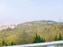 -青岛电视塔