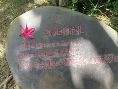 -名树园