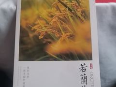 -若蘭慈·无国界素食料理(欢乐海岸店)