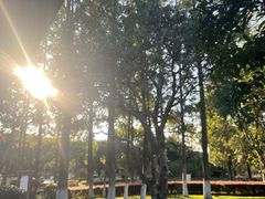 -河泥荡文化公园