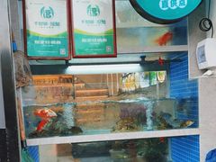 -全乐鱼馆·淳牌有机鱼直营店