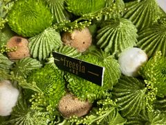 宇治抹茶小雏菊-小苍兰风铃草蛋糕甜品(沈阳店)
