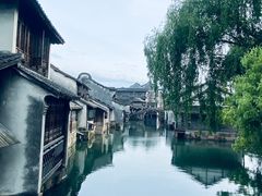 -乌镇西栅景区