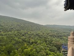 -灵谷景区