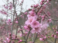 -阿哈湖国家湿地公园
