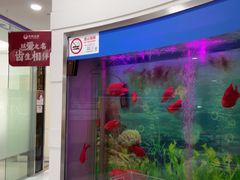 -雅悦齿科(顾村公园店)