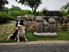 -东莞植物园