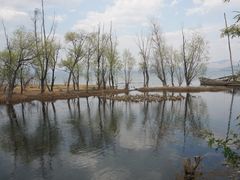 -洱海月湿地公园