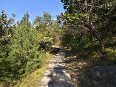 -北京十三陵国家森林公园蟒山景区