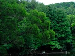 -深圳国际园林花卉博览园