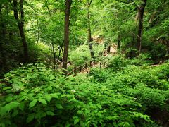-大岭沟猕猴桃谷风景区