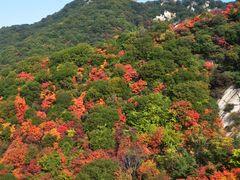 -少华山国家森林公园