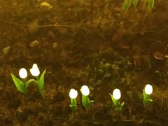 -怡海公园(桂城街道)