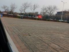 -第35届青岛国际啤酒节