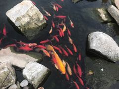 -昆明洲际酒店