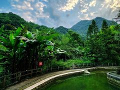 -龙窝子