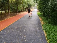 -大兴滨河森林公园